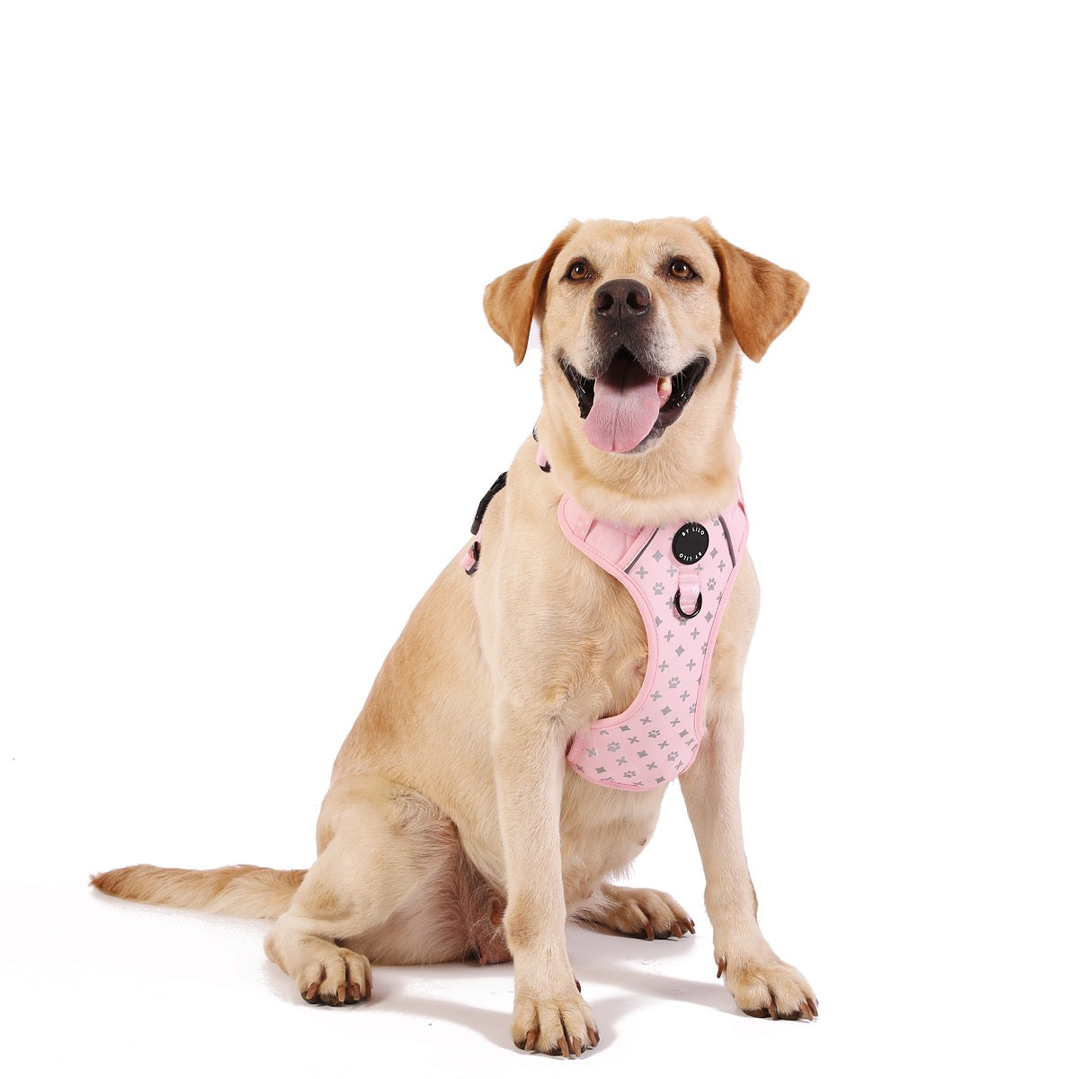 Reflecterend antitrek Y-Tuig roze