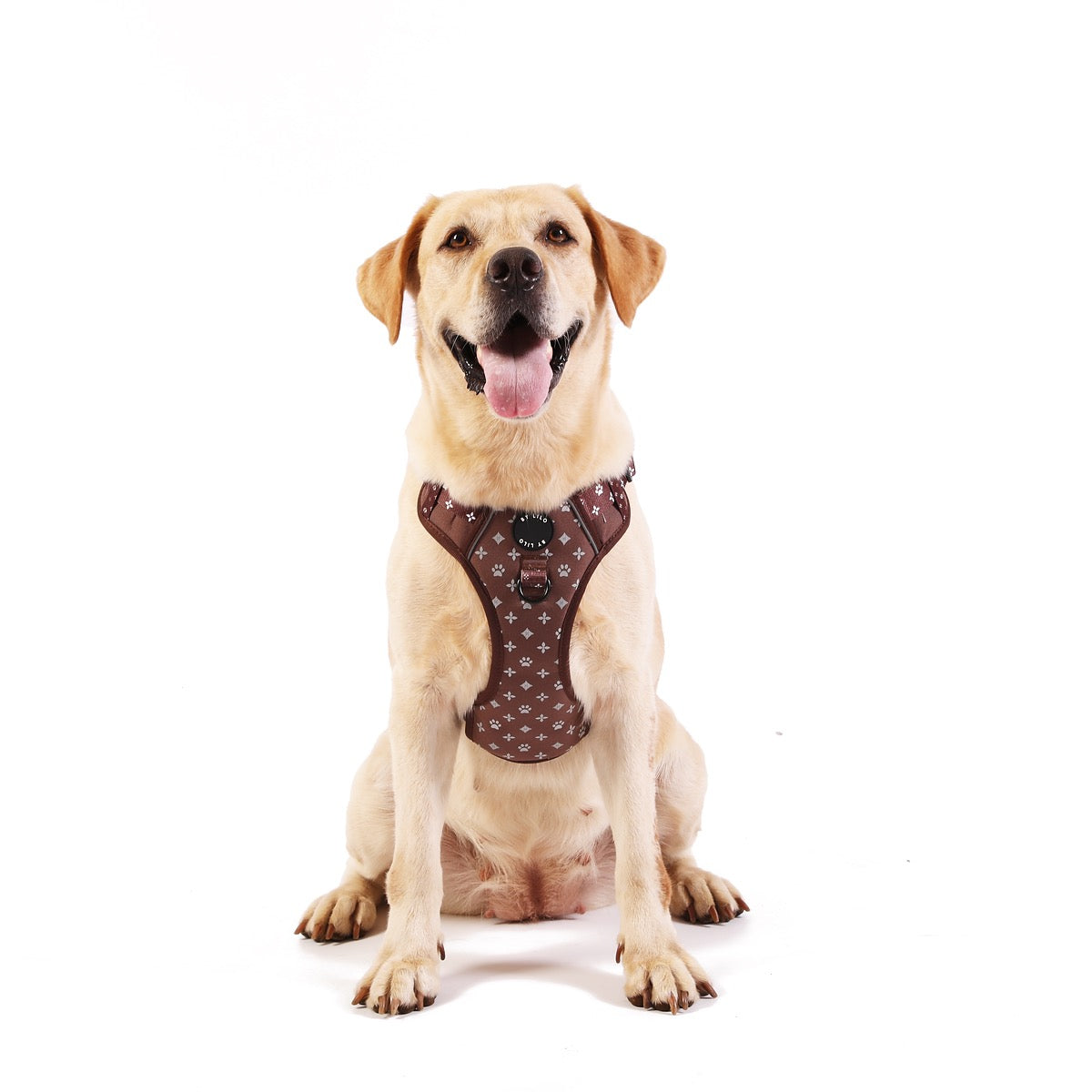 Reflecterend antitrek Y-Tuig bruin