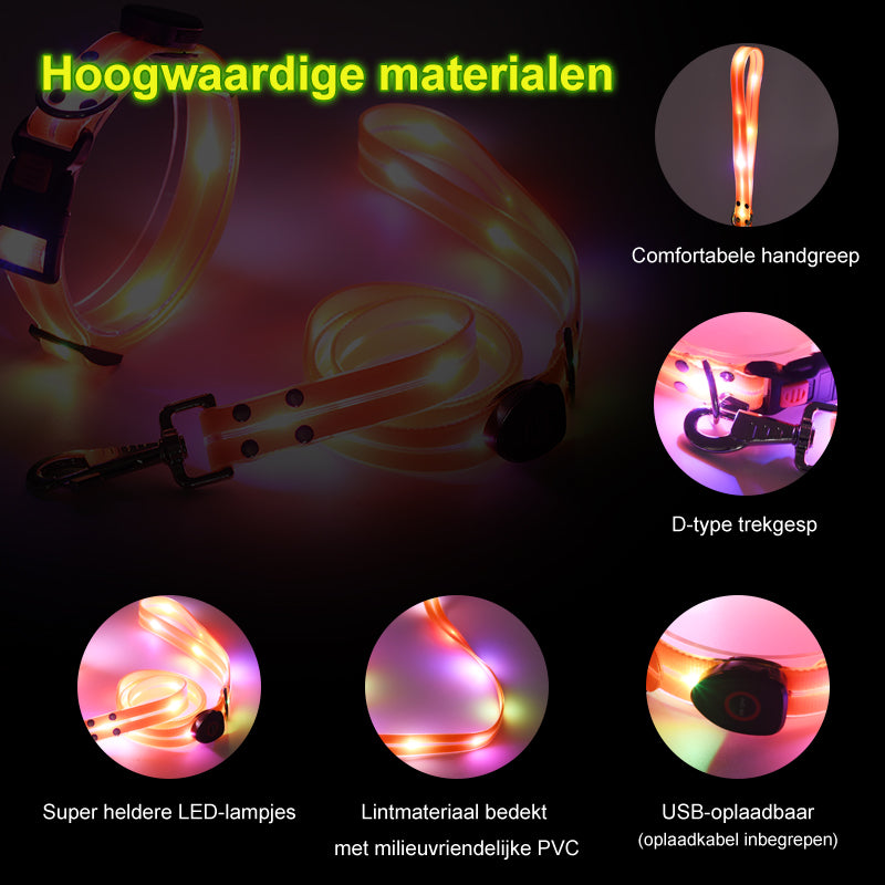 Lichtgevende LED hondenriemen