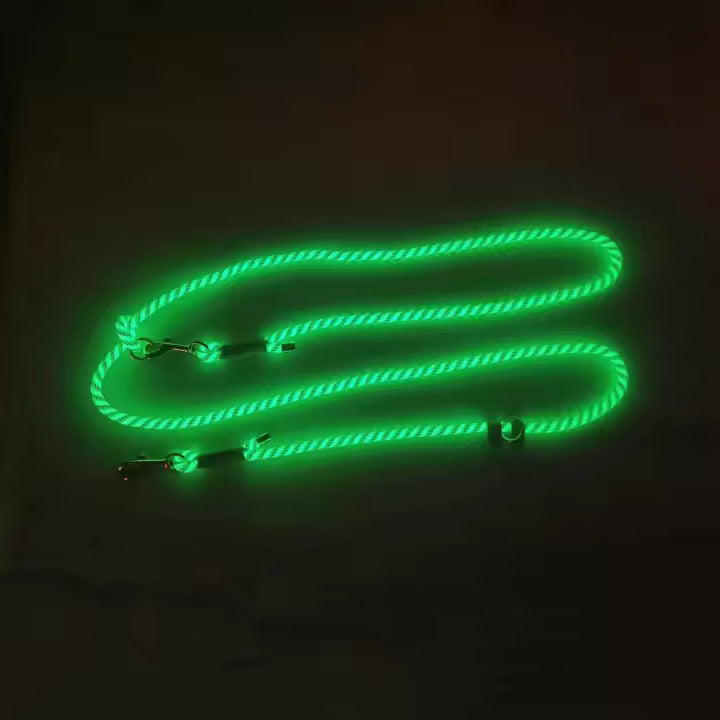 Glow-in-the-dark hondenriem
