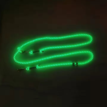 Glow-in-the-dark hondenriem