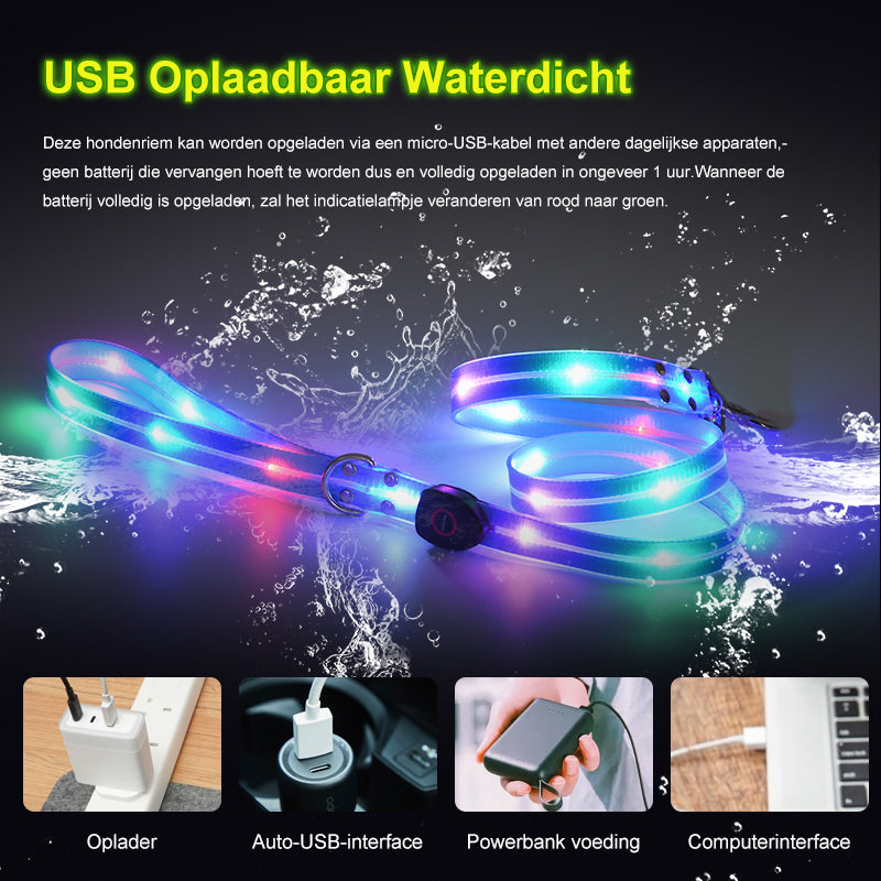 Lichtgevende LED hondenriemen