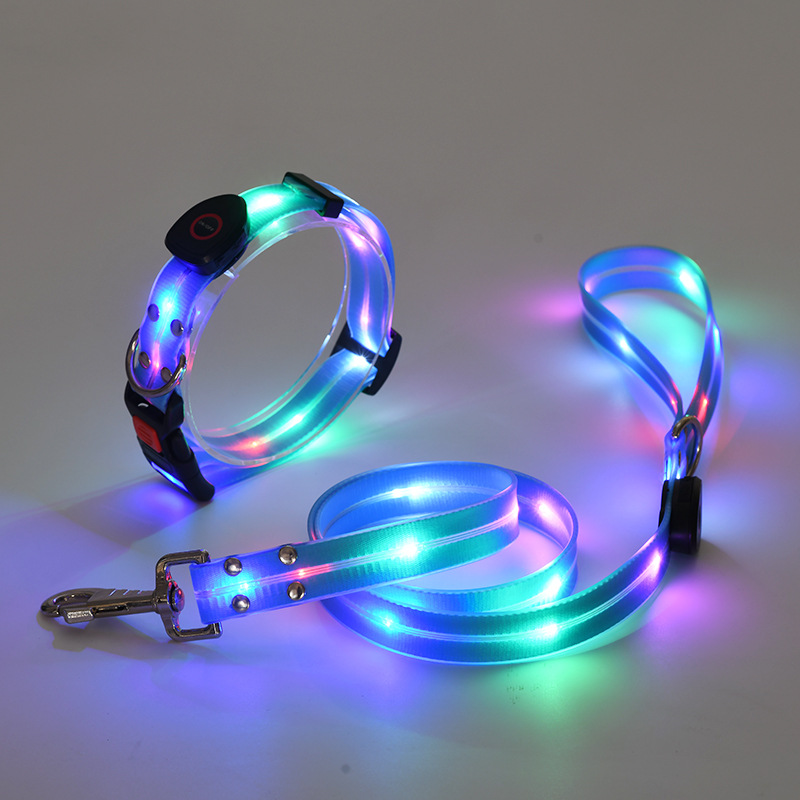 Led halsband en riem combinatie
