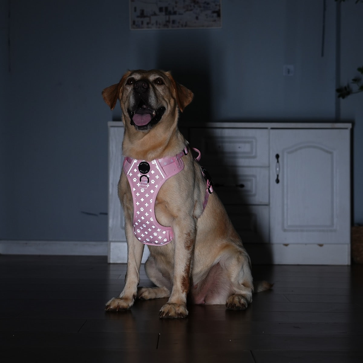 Reflecterend antitrek Y-Tuig roze