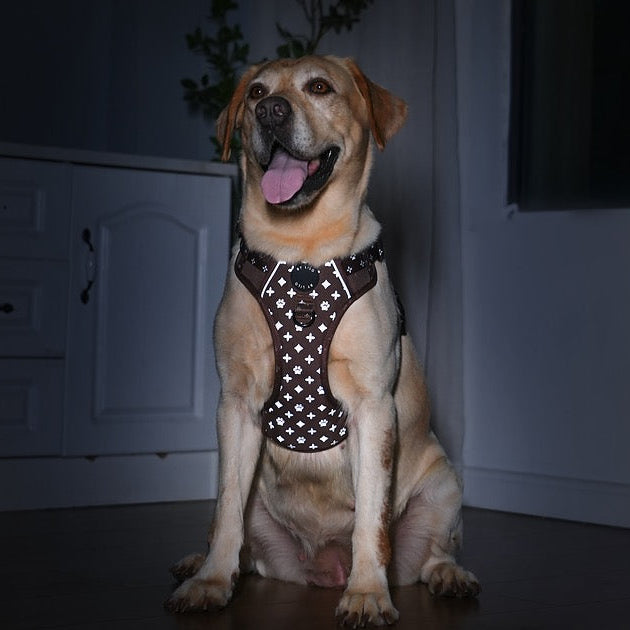 Reflecterend antitrek Y-Tuig bruin