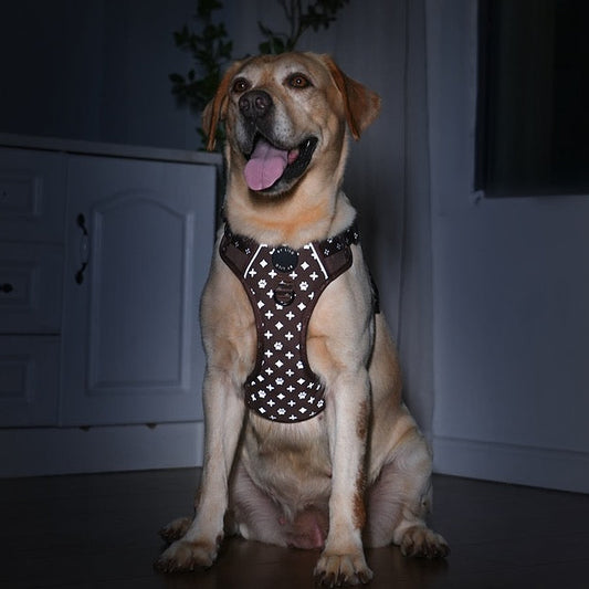 Reflecterend antitrek Y-Tuig bruin