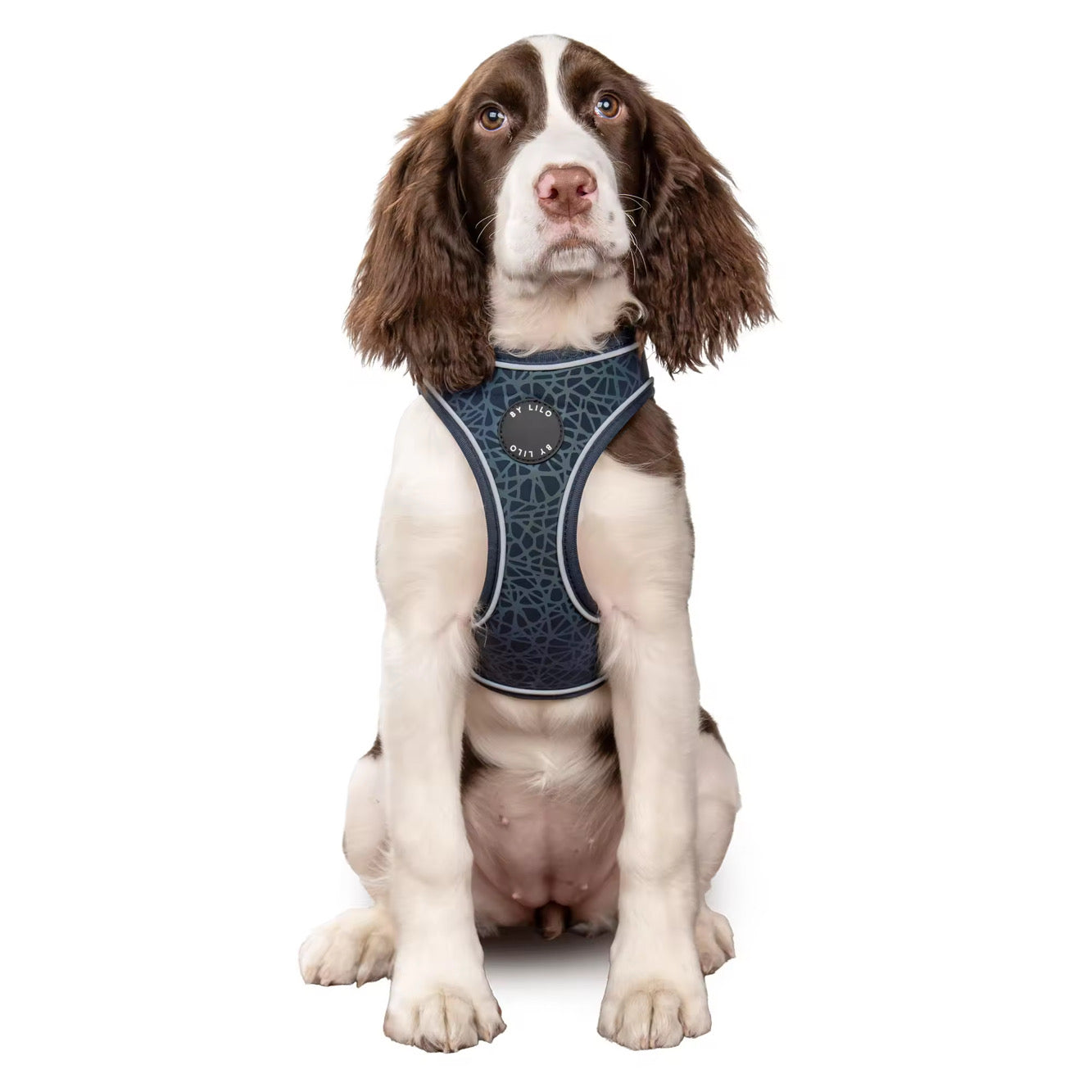 Reflecterend hondenharnas