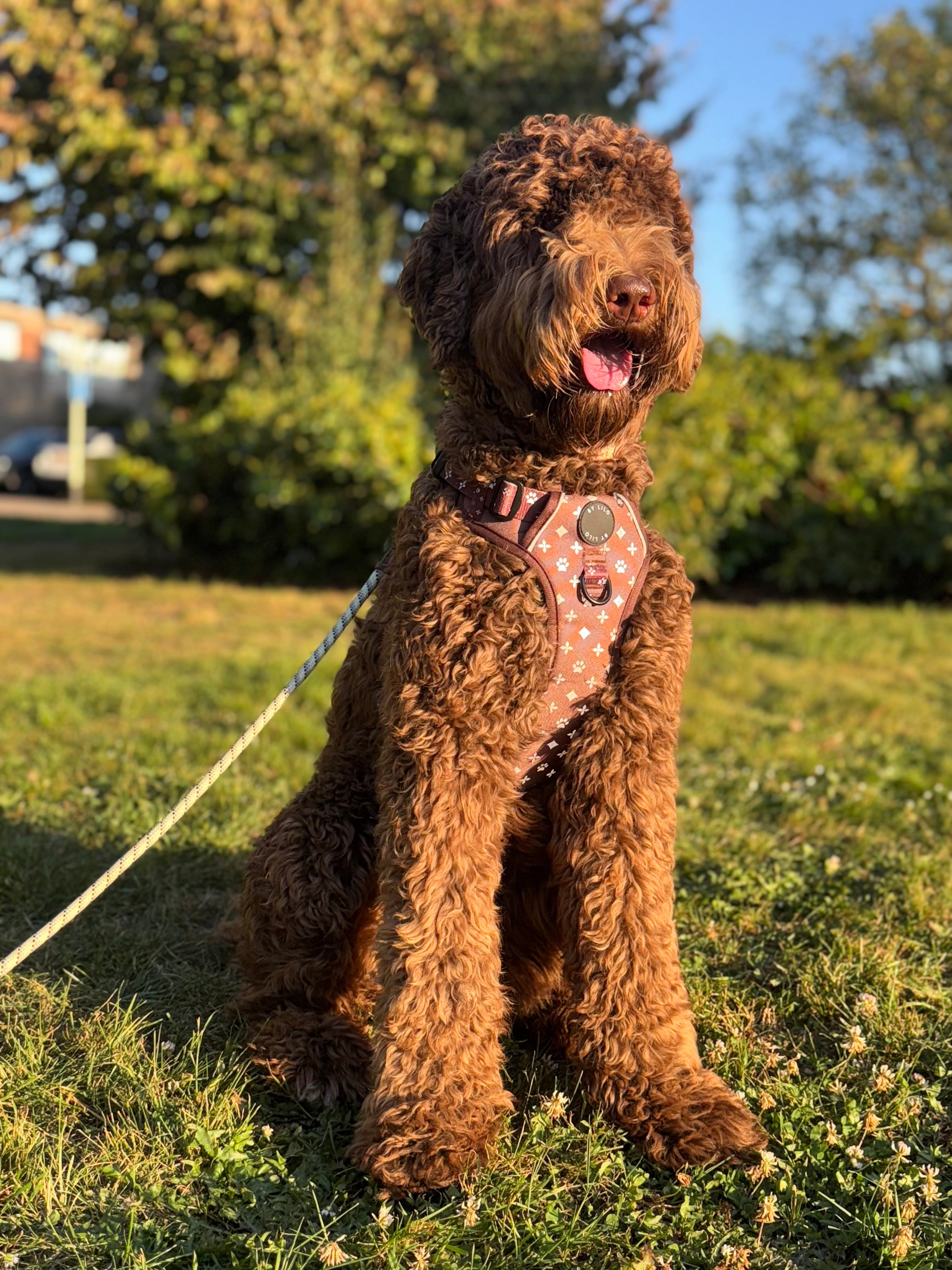 Reflecterend antitrek Y-Tuig bruin