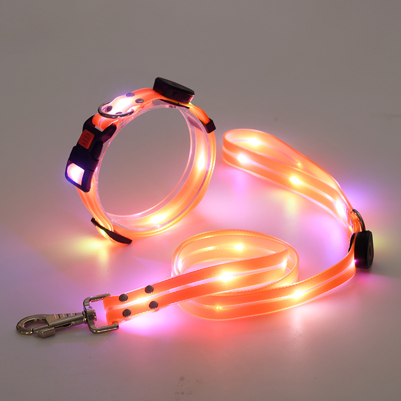 Led halsband en riem combinatie