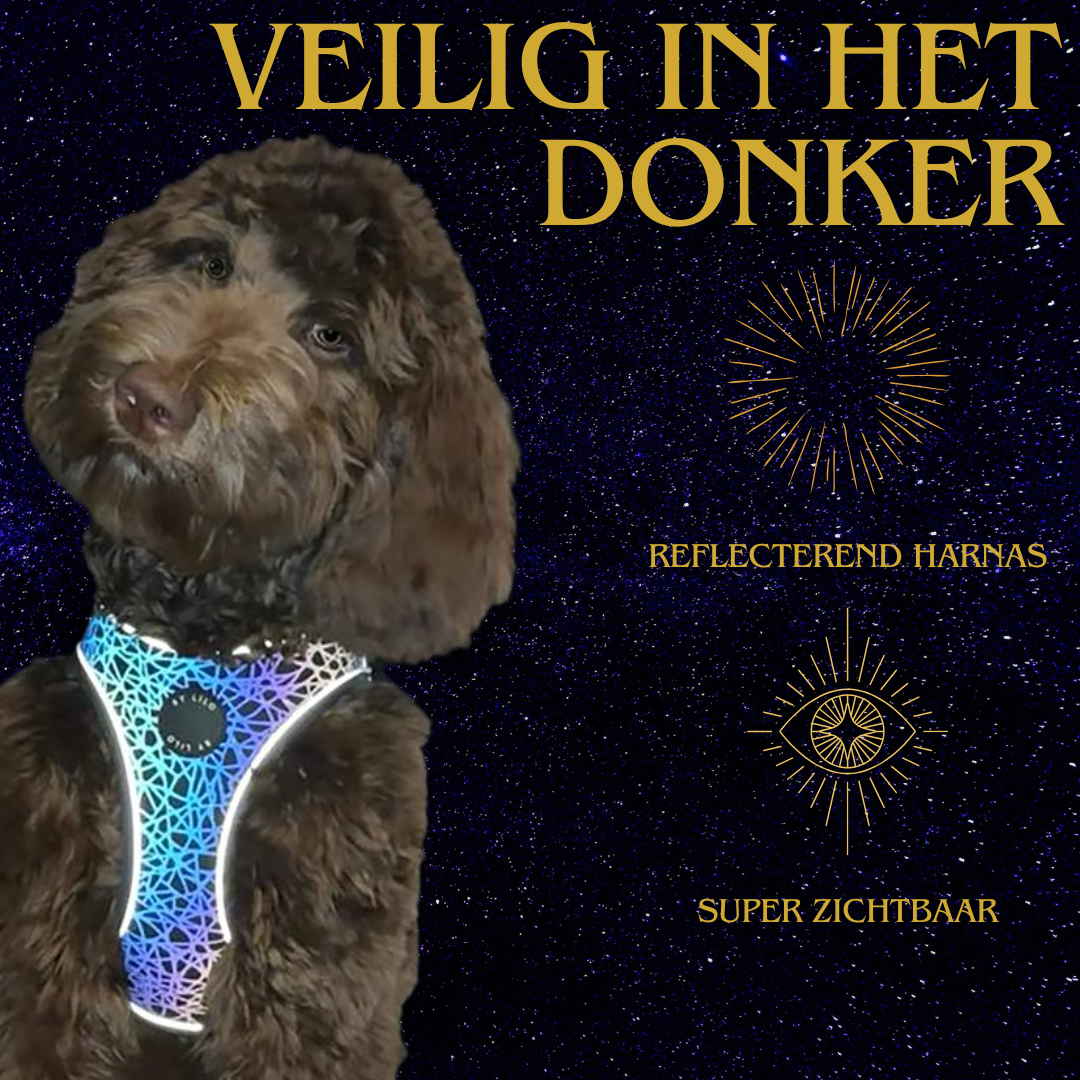 Reflecterend hondenharnas
