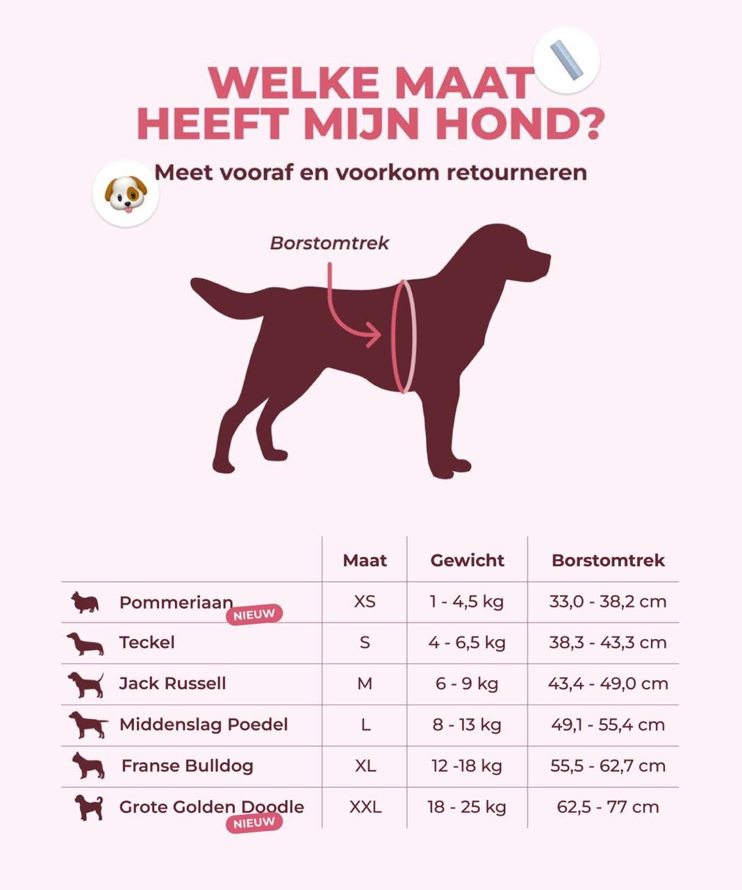 Reflecterend hondenharnas