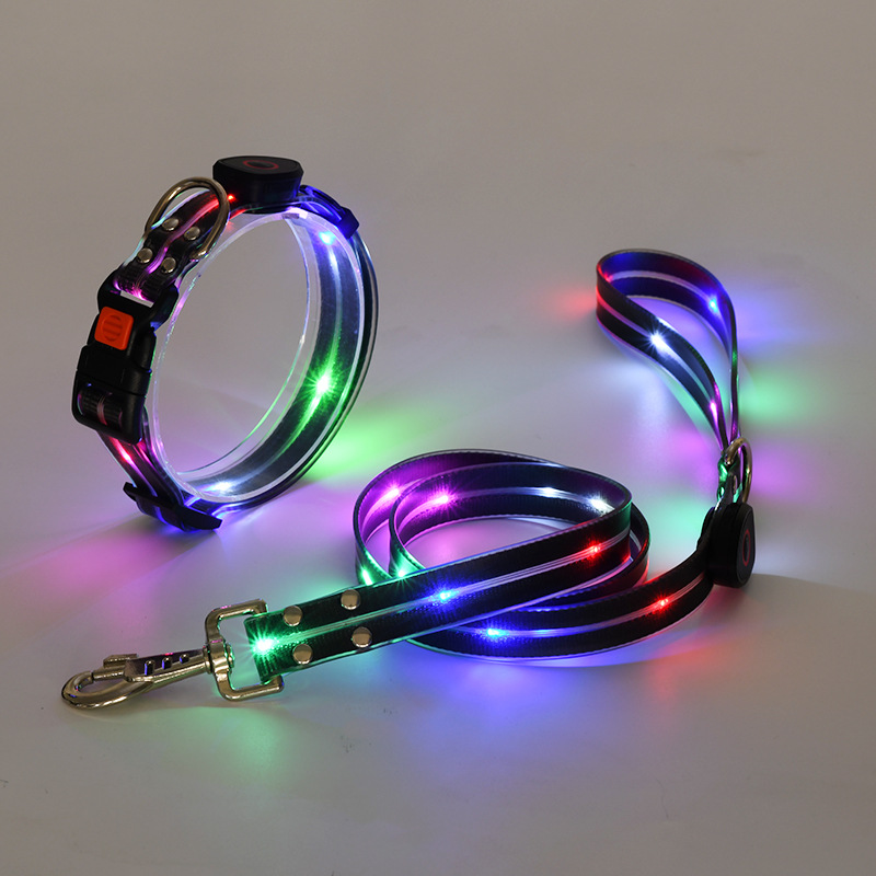 Led halsband en riem combinatie