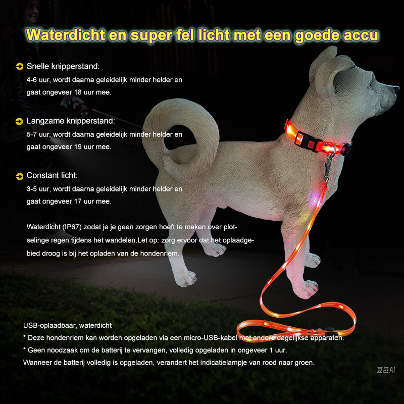 Lichtgevende LED hondenriemen