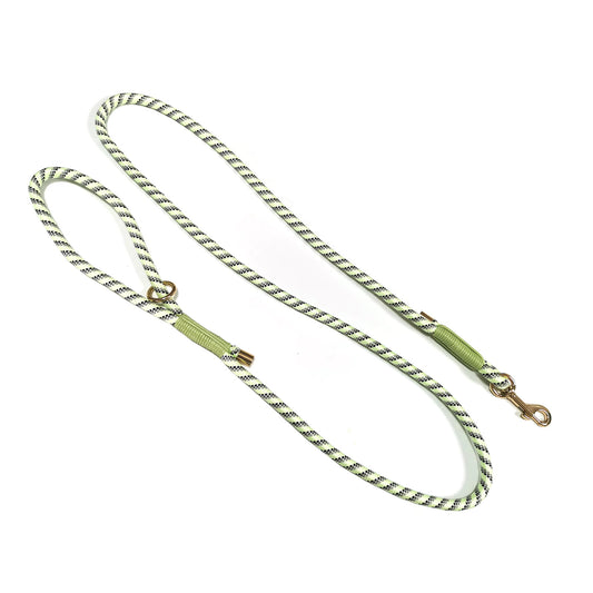 Glow-in-the-dark hondenriem