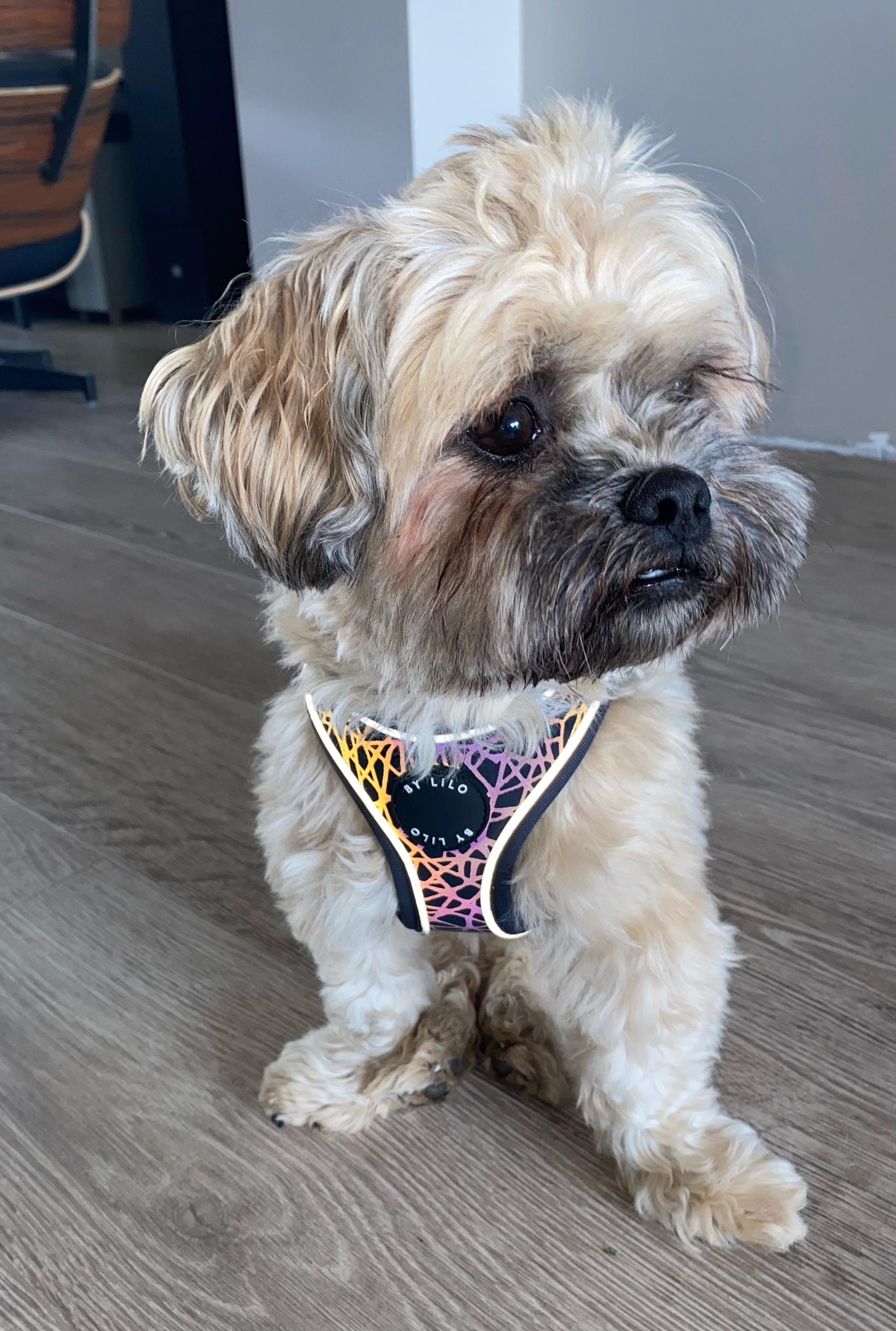 Reflecterend hondenharnas