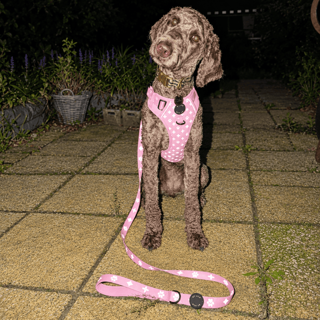 Roze Reflecterend Antitrek Y-Tuig + Riem Bundel - By Lilo